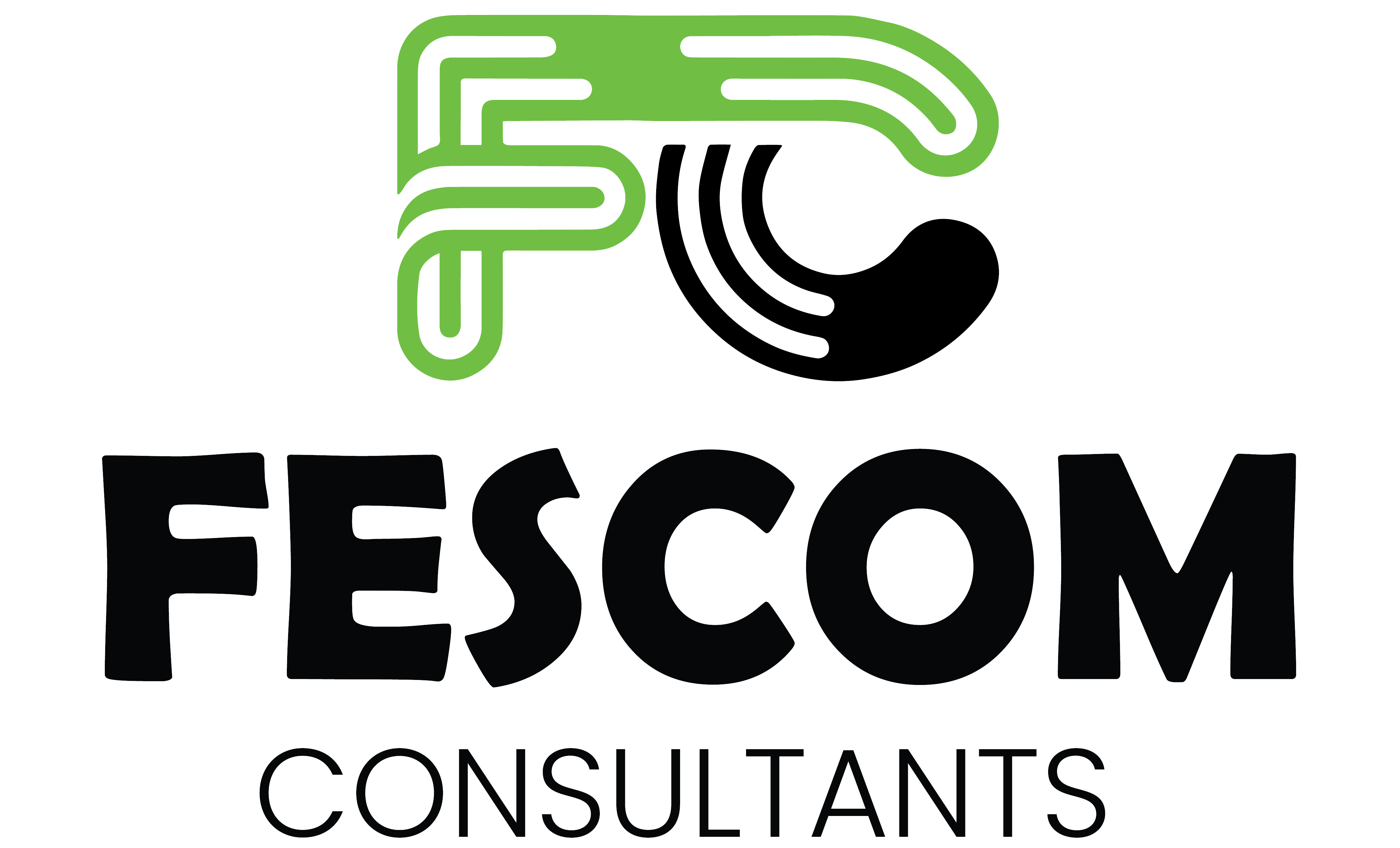Fescom-Consultants