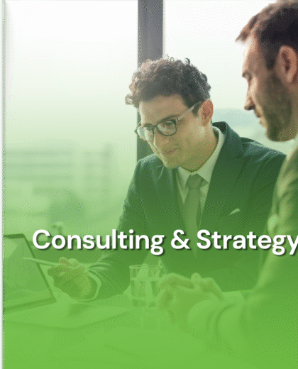 Consulting